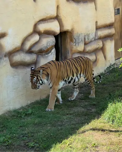 ZOO vrt u Tuzli
