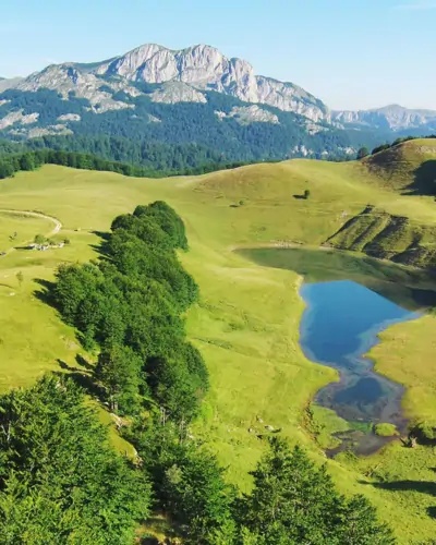 Zelengora