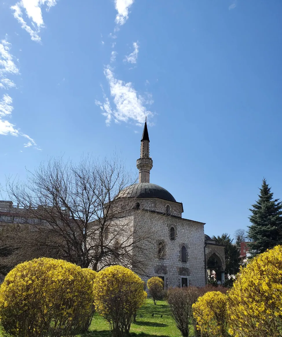 ali pasina dzamija 2