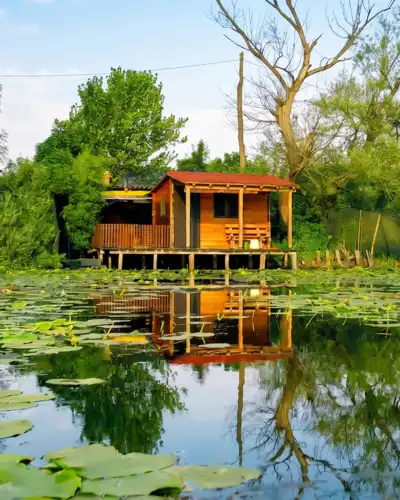 Barski rezervat Bardača
