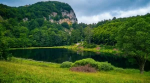 La tranquilla superficie scura del lago Donje Bare, incorniciata da un prato di montagna verde, da un fitto bosco e da ripide pareti rocciose sullo sfondo sotto un cielo nuvoloso