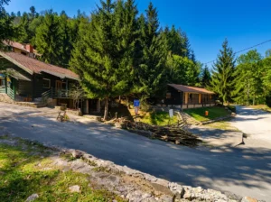 Traditional wooden cabins and hospitality facilities surrounded by tall conifer trees and well-kept paths, ideal for rest and a nature outing