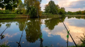 A view through fishing rods onto the calm surface of Mrkotić Lake, perfectly reflecting the surrounding green trees and shoreline