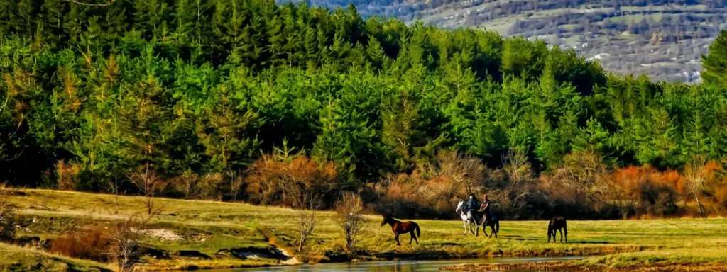 Stupe Žabljak Doboj Konji na livadi u podnožju šume na Žabljaku kod Doboja, prirodni pejzaž jeseni