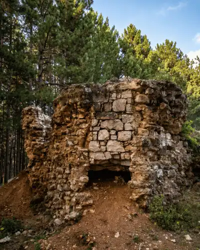 Tvrđava Vjenčac