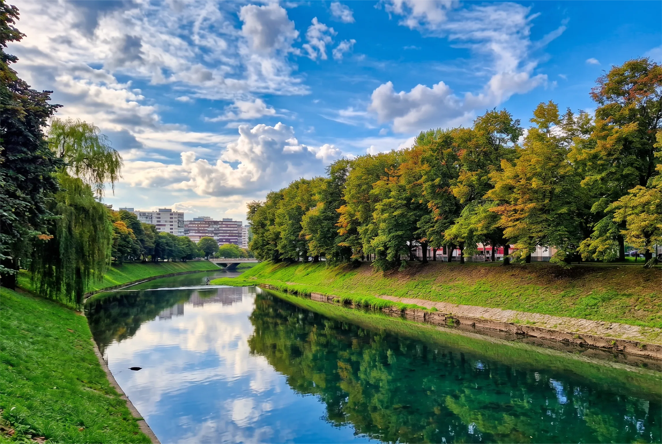 River landscape and tree-lined avenue on Wilson's Promenade
