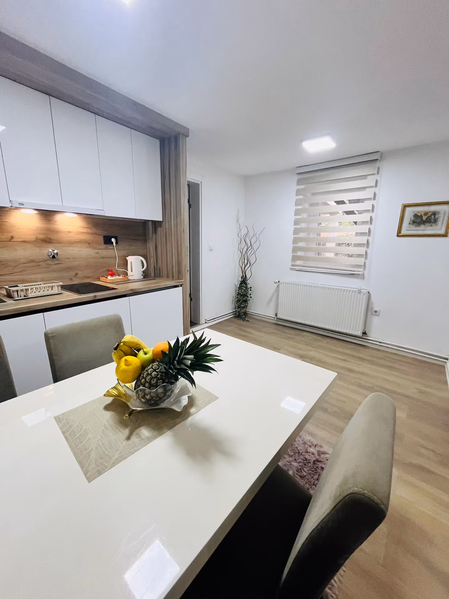 Popolnoma opremljena kuhinja apartmaja Irma v Sarajevu