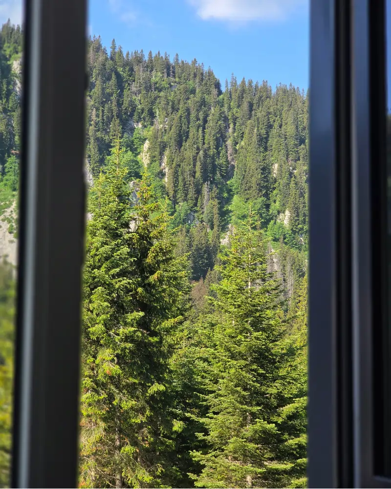 Pogled na prirodu i planinske predjele Jahorine iz apartmana Jahorina Cozy Nook