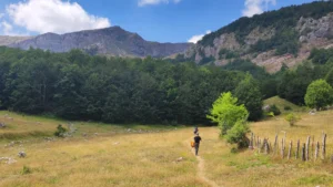 Šetnja kroz planinu | Vibe Trail Sarajevo