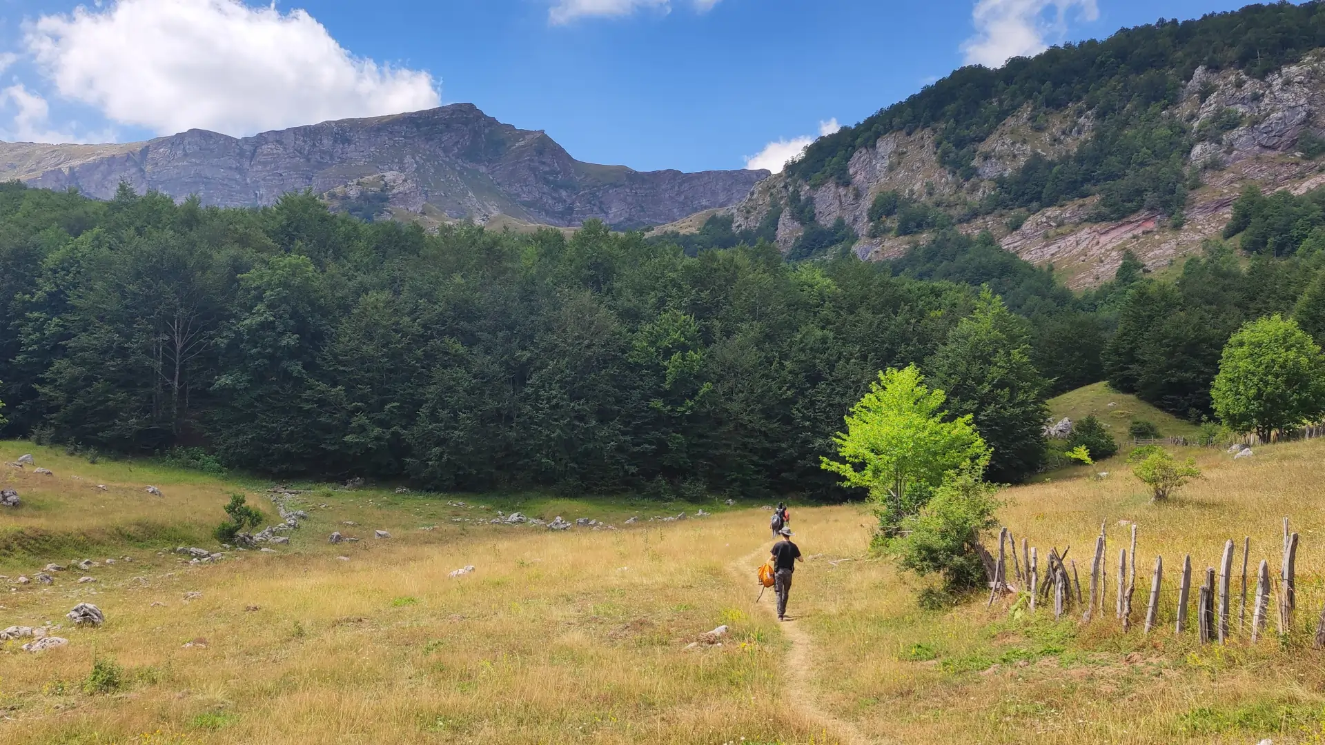 Šetnja kroz planinu | Vibe Trail Sarajevo