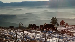 Predivan pogled | Vibe Trail Sarajevo