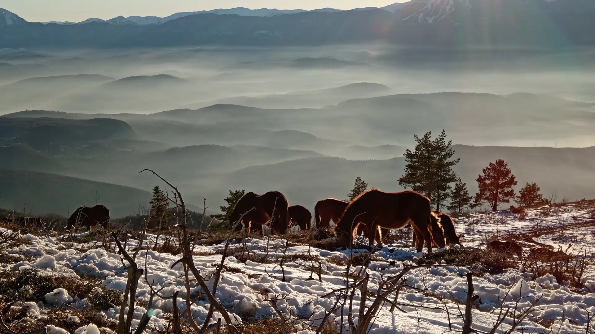 Predivan pogled | Vibe Trail Sarajevo